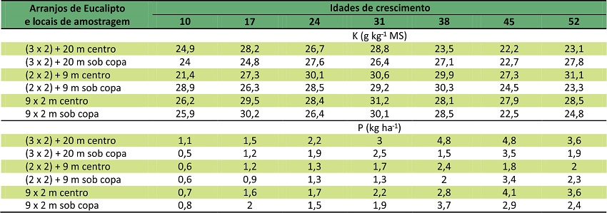 Teor m&eacute;dio de pot&aacute;ssio (K) e extra&ccedil;&atilde;o de f&oacute;sforo (P) em fun&ccedil;&atilde;o das idades de crescimento (dias ap&oacute;s a colheita do Milho), nas combina&ccedil;&otilde;es de arranjos de Eucalipto e locais de amostragem. 