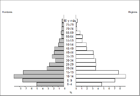 Pirámide poblacional, 2011.