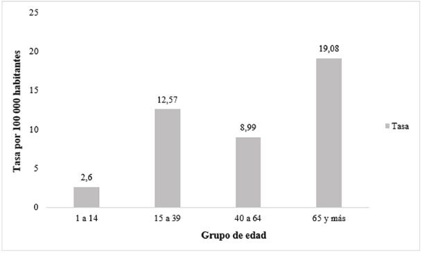Distribución de los fallecimientos por at según grupo de edad, distrito metropolitano de Quito, 2013.