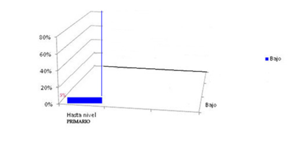 Aspiraciones
educativas de 100 padres para sus hijos 

Nivel
socioecon&oacute;mico bajo, Lomas de Zamora = G. II
