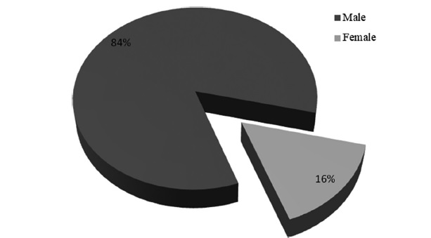 Authors’ gender