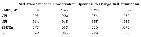 Adjustment coefficients of personal values, by second order types