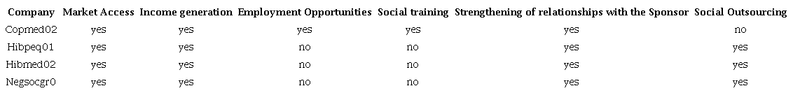 Results of the performance indicators of social enterprises and their market indexes, income, opportunities, training and strengthening