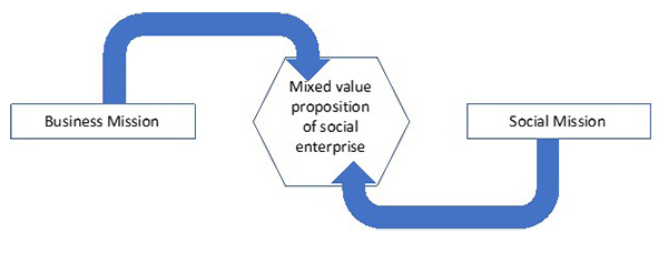 Mixed value proposition of social enterprise