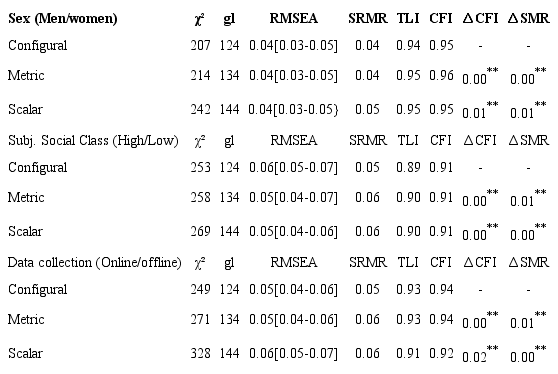 Multi-Group Confirmatory Factor Analysis (MGCFA)