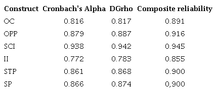 Reliability of the constructs’ internal consistency