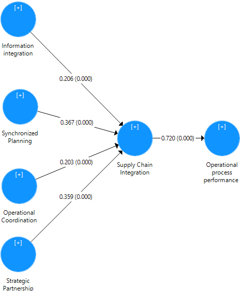 Structural model results. 