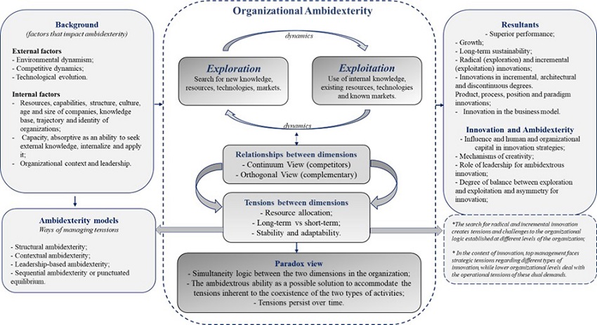 E&E, ambidexterity and innovation: concepts and relationships