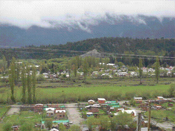 Im&aacute;gen N&deg; 2