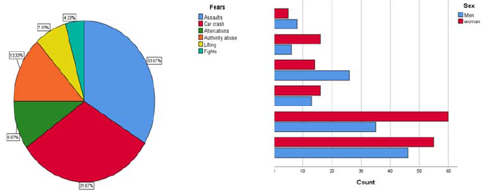 Fears that youth deal with