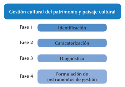 Fases del proyecto de Investigaci&oacute;n