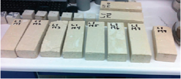 Muestras de espec&iacute;menes del lote 1