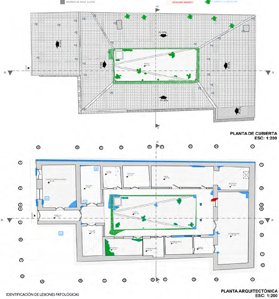Diagn&oacute;stico patol&oacute;gico del caso de estudio.