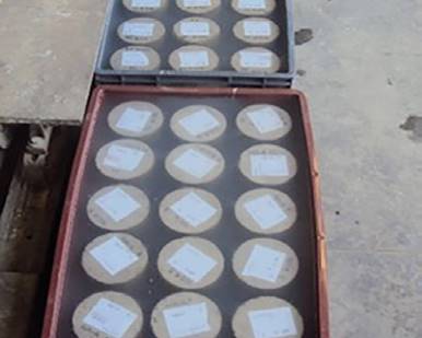 Inmersi&oacute;n de las probetas para el curado 