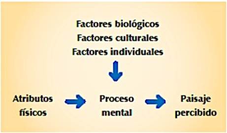 Esquema básico de percepción del paisaje