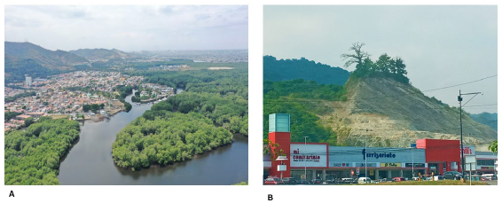 Sistemas de bosques protegidos amenazados por la expansi�n urbana. A. Sistema de manglares colindante con Puerto Azul; B. Bosque Cerro Blanco colindante con la v�a a la Costa y proyectos comerciales-residenciales