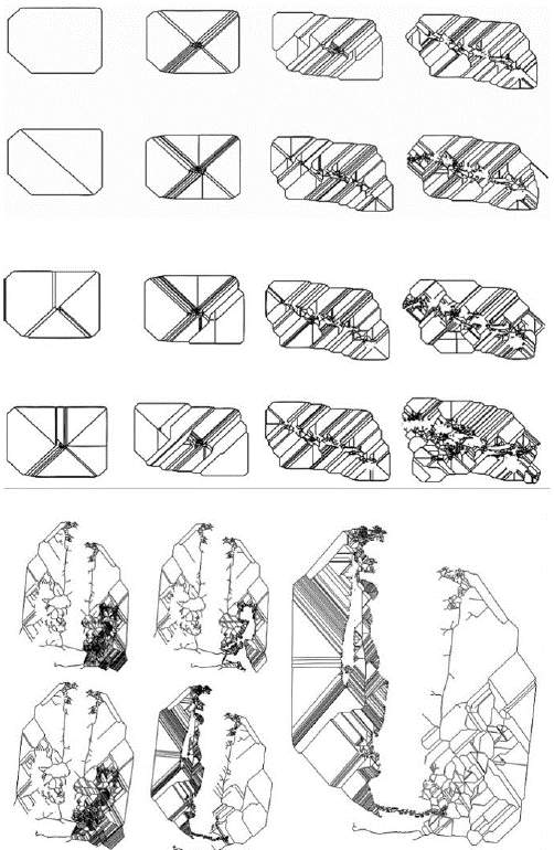 Trama generada en software LSVG (sistemas iterados)