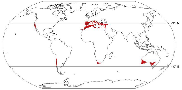 Regiones con clima mediterr�neo