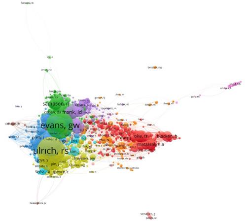 Co-citation network analysis.