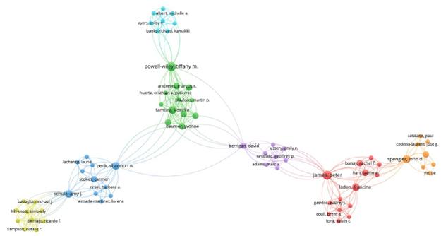 Co-author network analysis of scientific publications.