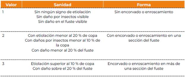 Sanidad y forma de los �rboles