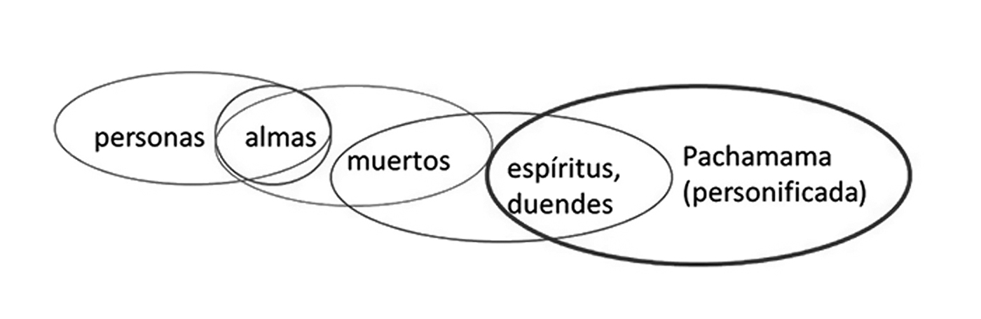 Ejemplo de cadena anal&oacute;gica de seres
