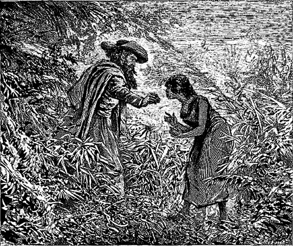 Entrevista con Yalla