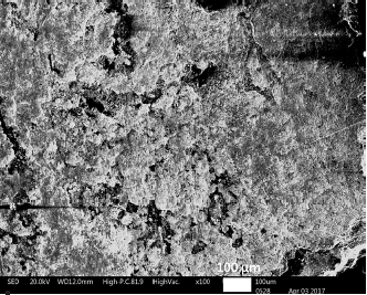 Imagen SE (electrones secundarios) al SEM de la superficie de la franja de color marr&oacute;n-negruzco de la nariguera bicolor Poli 13