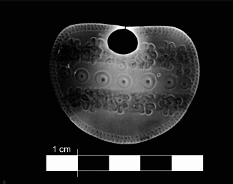 Radiograf&iacute;a X de la nariguera Poli 13 (270 kV de tensi&oacute;n, 0,2 mA y 2 s de tiempo de exposici&oacute;n)
