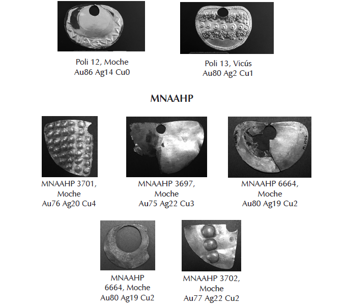 Las narigueras que forman parte de esta investigaci&oacute;n