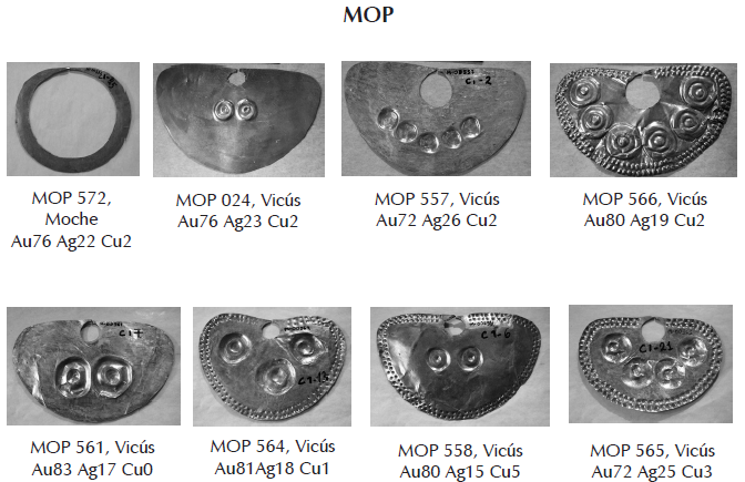 Las narigueras que forman parte de esta investigaci&oacute;n