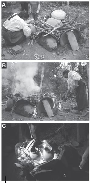 Proceso de quema en Alabuela