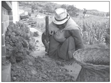 Cadena operativa de Jatumpamba