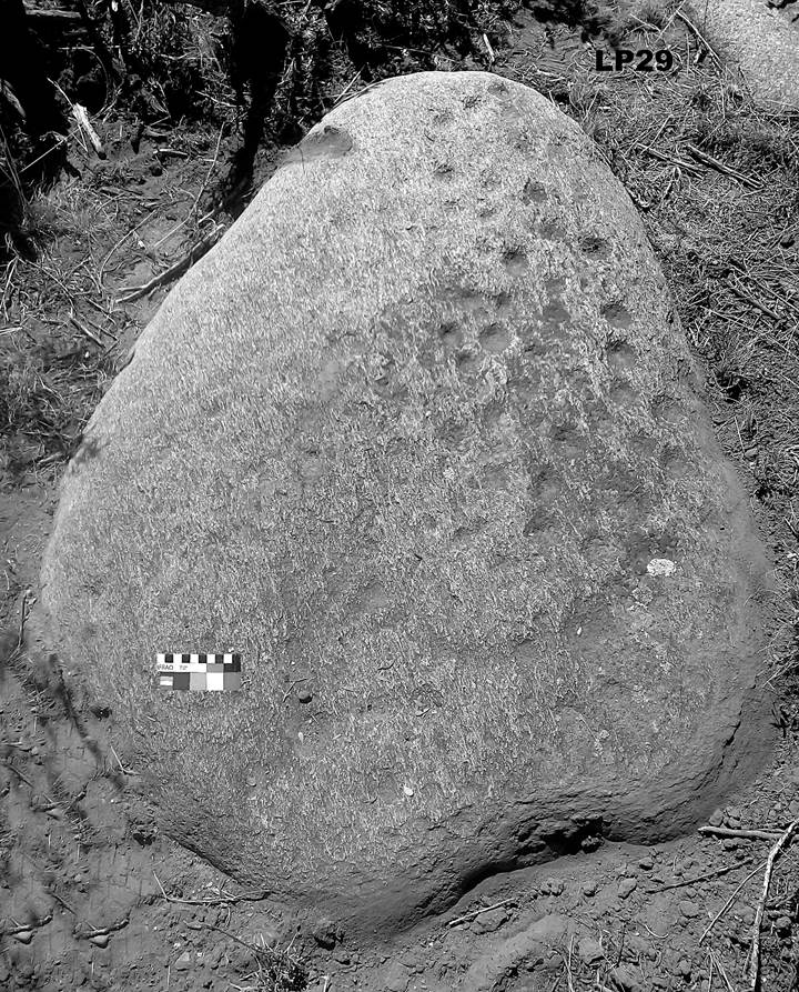 Fotografa del soporte LP29 perteneciente a la concentracin 1 (C3) del Sector Bajo