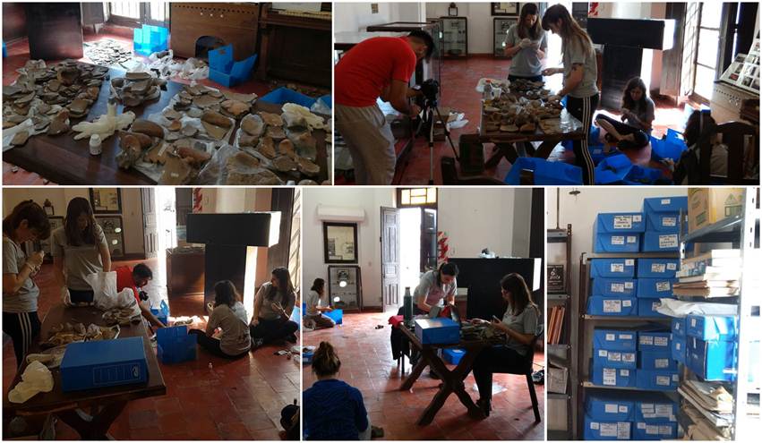 Tareas de acondicionamiento inventariado y almacenaje de las colecciones presentes en el Museo Municipal José Manuel Maciel Coronda Santa Fe