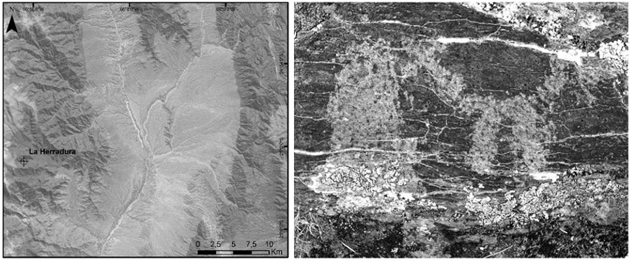 Ubicación y diseño rupestre de camélido comiendo de una parva
