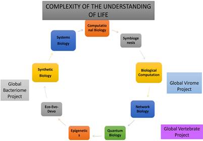References and Arrays Explaining the Complexity of Life