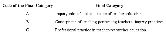 Codification and final categories Source: Guidotti and Heckler (2017)