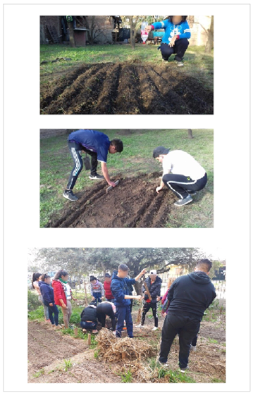 Arriba y al centro: Estudiantes elaborando huertas agroecol&oacute;gicas en sus hogares. Abajo: Armado de canteros, per&iacute;metros a los mismos y aporte de cobertura vegetal (mulch)