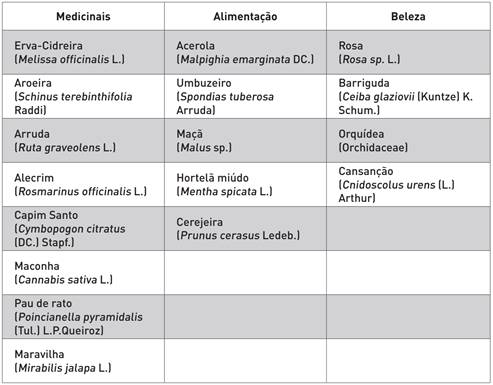 Relação das plantas escolhidas pelos alunos do 6º ano da EFA