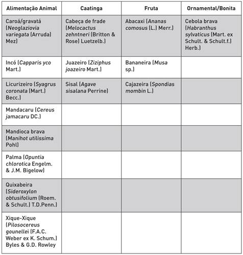 Relação das plantas escolhidas pelos estudantes do 8º ano da EFA