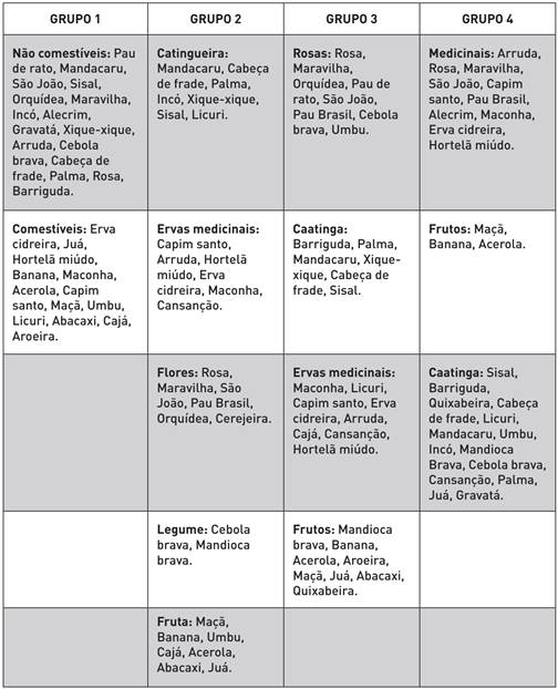 Categorias estabelecidas pelos alunos do 6º ano da EFA