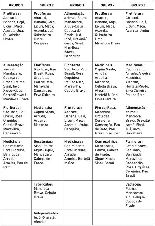 Categorias estabelecidas pelos alunos do 8º ano da EFA