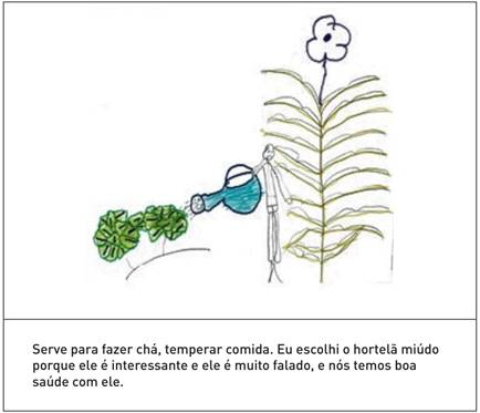 Hortelã miúdo (Mentha spicata L.)