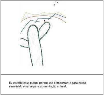 Mandacaru (Cereus jamacaru DC.)