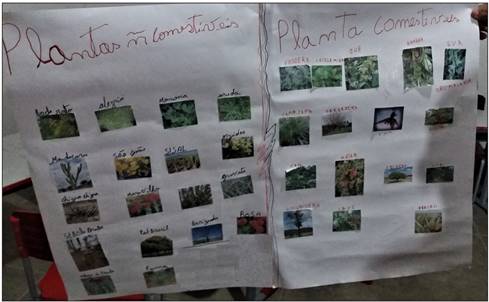 Cartaz confeccionado pelo grupo 1 do 6°ano da EFA