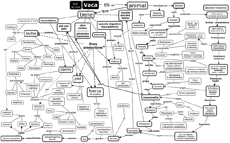 Campo semántico
representado en un mapa conceptual 