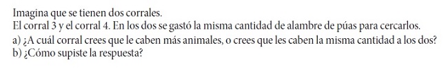 Problema “dos corrales (imaginados) de igual perímetro” 