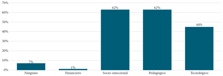 Apoyos ofrecidos a los estudiantes. Las opciones no son
excluyentes