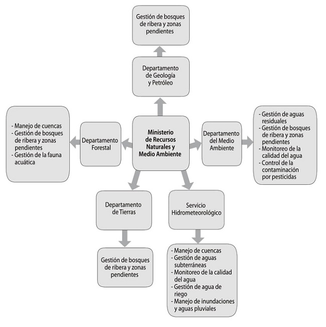 Estructura del Ministerio de Recursos Naturales y Medio Ambiente y sus funciones (antes de 2010)